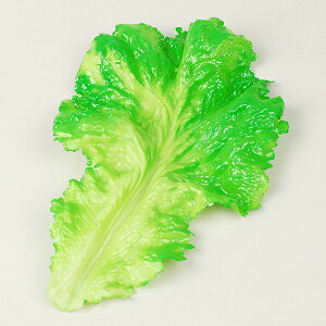 yA[gt[hz[t^X@Xp؁y̎sz