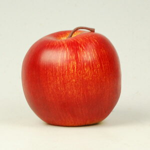 yA[gt[hz񂲁iVj@Abv@Xpʕy̎sz