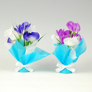 yĂ̑z~jL[gbv߁y̎sz