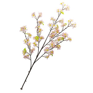 �y�t�̑����z�V�E����}�@�݌Ɍ���̓����i�y�̎������s�z