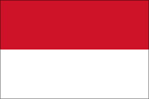 yOzChlVAieggsJj@TCYF90×135cmy̎sz