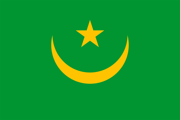 国際交流の場に各国の公式国旗をご利用下さい。 【外国旗】モーリタニア・イスラム共和国国旗（アクリル） サイズ：90×135cm【領収書発行】