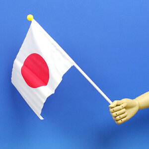 y{ziTCYF20×28cmjy̎sz