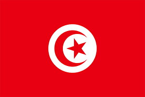 yOz`jWAaieggsJj@TCYF70×105cmy̎sz