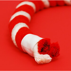 yՂpizgRiЂja8mm@؂蔄y̎sz