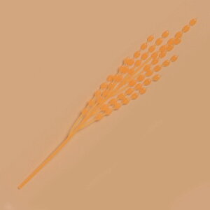 yߓޗz|iȂفj@H̑y̎sz