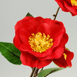 yVNt[zցi4ցj@piy̎sz