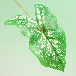 yVNt[zVSW[[t@ԍޗy̎sz