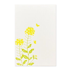 箔押し はがき 菜の花 (1枚入り) ROKKAKU フタバ 春 植物 花 イラスト デザイン かわいい 可愛い おしゃれ メッセージ 日本製 和 和色 光沢感 葉書 ハガキ 私製はがき 手書き 贈り物 ギフト お礼
