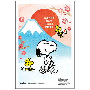 �N��� 1������ �X�k�[�s�[ SNP �ߔN 2026�N �ߘa8�N �s�[�i�b�c �ꎌ�t�� �C���X�g�t�� ���b�Z�[�W �o������ �Z���E���O�������ē������邾�� �؎��\��Ȃ��Ă��� �؎�s�v ���N�ʕt���N��