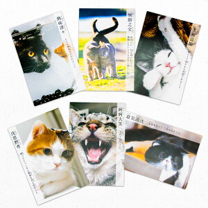 ɂ񂱎ln V |XgJ[h 1 t^o ͂ nKL t ͂ʐ^ L lR ɂ񂱎lnꎫT 킢  L LObY L g