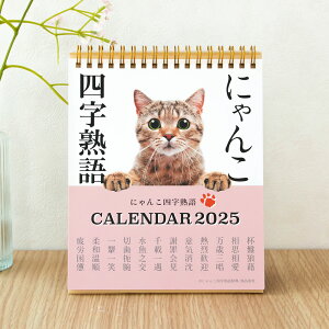 2025年版 にゃんこ四字熟語 月めくりカレンダー 卓上タイプ 令和7年 フタバ 卓上カレンダー リング式 1月始まり 猫 にゃんこ四字熟語辞典 写真 かわいい 可愛い 猫柄 猫グッズ 黒猫 茶トラ ハ