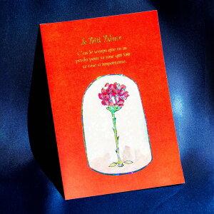 ̉q |XgJ[h ROKKAKU t^o TeOWy LN^[ ObY fUC   nKL 菑 t ͂ |XgJ[h   {  