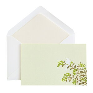 y20%OFF&݌ɌŏIz ÓstJ[hZbg ԎU Ȃi1ZbgjROKKAKU t^o s  CXg fUC 킢   bZ[W 莆  { a 