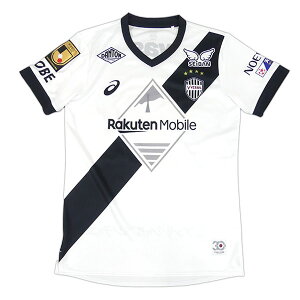 BbZ_ 2025 vJ AEFC jtH[ 2103A103-101 TbJ[  uAgzCg AVbNX asics