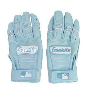 tN Franklin 싅 obeBOOu CFXv 20896-SAX