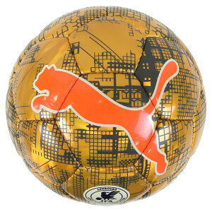 PUMA v[} Jbv OtBbN TbJ[{[ HS 3 4 5 084952-02