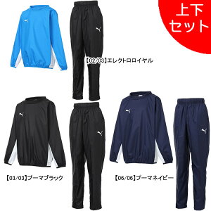 スポーツウェア プーマ ピステ 上下セット」の人気商品一覧 | 安い商品 