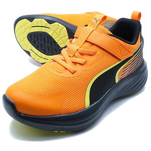 �X�s�[�h �����X�^�[ V5 GR �v�[�} PUMA 313960-03 ���@�[�~���I�� �W���j�A �����j���O�V���[�Y �x���N��