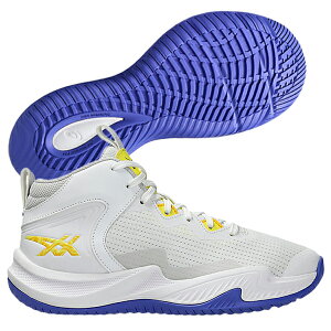 �A�V�b�N�X asics �o�X�P�b�g�{�[�� �~�j�o�X �V���[�Y �W���j�A NOVA SURGE 3 GS 1064A017-102