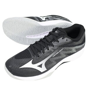 �~�Y�m MIZUNO �o���[�{�[���V���[�Y ���C�g�j���O�Z���N�g �����Y ���f�B�[�X V1GA2670-53