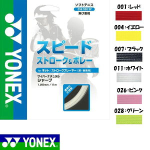 lbNX  \tgejX XgOX Kbg TCo[i`V[v CSG550SP