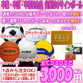 楽天市場 サインボール バレーボール 名入れの通販