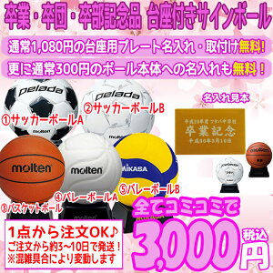 サインボール バレー ホビーの人気商品 通販 価格比較 価格 Com