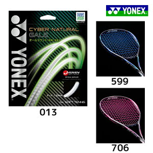 lbNX \tgejX Kbg XgO TCo[i`QC^CYBER NATURAL GALEiCSG650GAj ejXKbg
