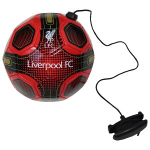 ov[ ItBV Size2 XLYg[i[ {[ LIV_SKILLS_TRAINER TbJ[{[ T|[^[ObY Rt Kp 2 bh