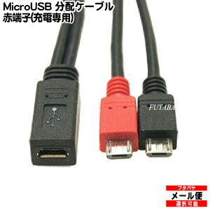 yzMicroB⏕dtP[u COMON(J) MBF-MB2 MicroB(X)MicroBx1(IX)/ [dpMicroBx1(IX) :30cm