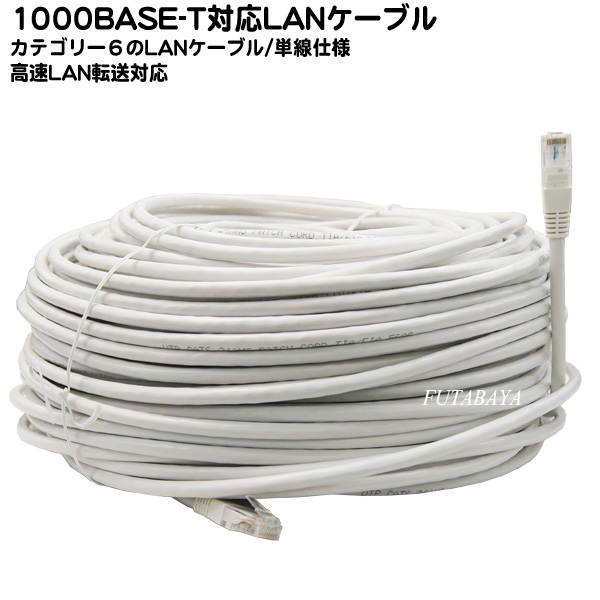 楽天市場】カテゴリー6 LANケーブル100m 1000Base/T対応 ○長さ:約100m 