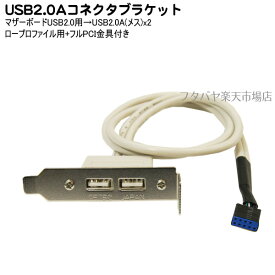USB2.0 2ポートブラケット マザーボードのUSB端子(メス)→USB2.0(メス)x2 ロープロファイル＆フルPCI金具付き 変換名人 PCIB-USB2/2FL