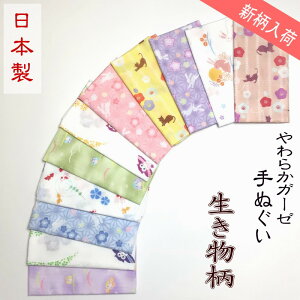 炩K[[Ăʂ@20ނIׂ@{@dK[[@