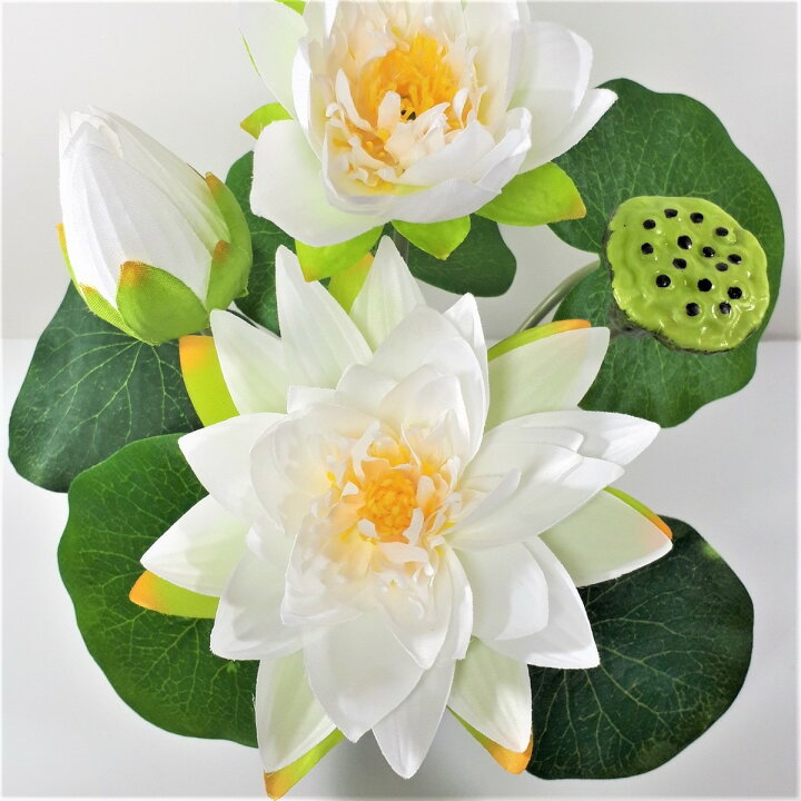 春夏新作モデル 蓮華灯 蓮の花 造花 光る蓮の花 仏花 ロータス 蓮華 2個セット コンセント Led はすはな インテリア照明 お盆 仏具 仏壇 仏前 法 Shipsctc Org 春夏新作モデル 蓮華灯 蓮の花 造花 光る蓮の花 仏花 ロータス 蓮華 2個セット コンセント Led はすはな インテリア照明 お盆 仏具 仏壇 仏前 法 Shipsctc Org