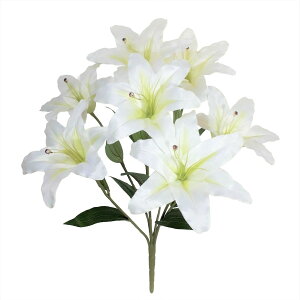 y؁zyXIXXzJTuJ@ubV@7֊J@CeA@ԑԁ@@d@pԁ`Q̃{[I`