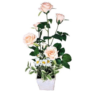 yXIXXzԁ@A[eBtBVt[@t[AWg@̓@ꂳ񂠂肪Ƃ@v[g@Mtg@K[f[Y@񂹐A@bsO@