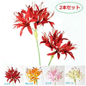 Ȃ̂ɏ㎿Ȕފ݉ԁillEqKoiE֎ꍹ؁jA[gt[@VNt[@A[eBtBVt[@