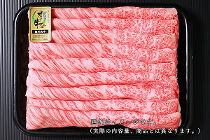 I[uJ^[XĂEԂԗp500gⓀ@쌧@Mtg@񂹃O@S