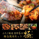 【送料無料】ふたごの焼肉セット「極」 4〜5人前/全6品 とろける絶品ホルモンや極上ハラミが入ったふたご渾身の焼肉セット 焼肉・バーベキューBBQにも！　ギフト・ご贈答にも！
