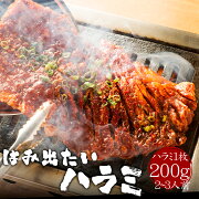 �դ��������ΤϤ߽Ф����ϥ��(������)