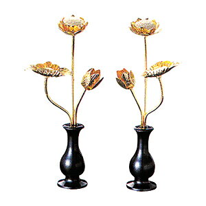 ~j rt KF 3.0 {bL 164×66mm