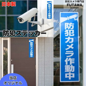 【20名限定☆15%OFF！】 防犯ステッカー 防犯シール 防水 耐候 屋外使用可能 防犯 空き巣 盗難防止 防犯対策 防犯カメラ セキュリティー ダミーシール 防犯シール単品 防犯カメラ作動中 ステッカー 長方形 高品質 窓 玄関 青 送料無料