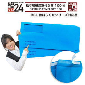 yŋzzBSL炭V[YΉi@^׏pt 100 BSL 炭V[Y