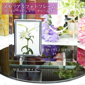 tHgt[ ʔv 茳{ p[`[t A  ʐ^ L _  ʔv 㕧d 茳{ I vw A ʔv e fh-5p