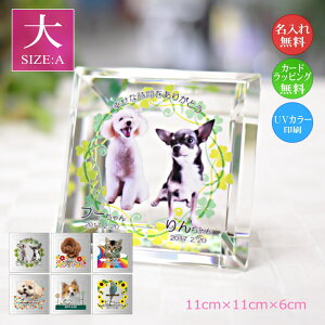 yzybgʐ^ NX^KX XNGAJbgijybgpA ʐ^  EFJLO AObY I[_[Ch a LO vo  L 