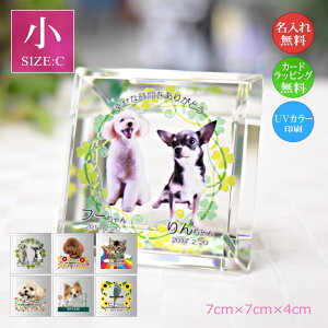 yzybgʐ^ NX^KX XNGAJbgijybgpA ʐ^  EFJLO AObY I[_[Ch a LO vo  L 