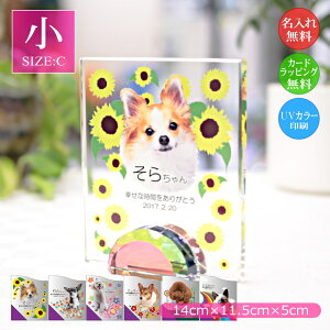 ybgʐ^ NX^KX XNGA`ijybgpA ʐ^  EFJLO AObY I[_[Ch a LO vo  L  CR nX^