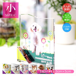 ybgʐ^ NX^KX EG[u`ijybgpA ʐ^  EFJLO AObY I[_[Ch a LO vo  L  CR nX^