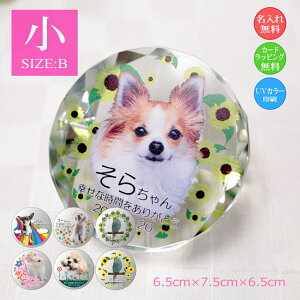 ybgʐ^ NX^KX Eh`ijybgpA ʐ^  EFJLO AObY I[_[Ch a LO vo  L  CR nX^